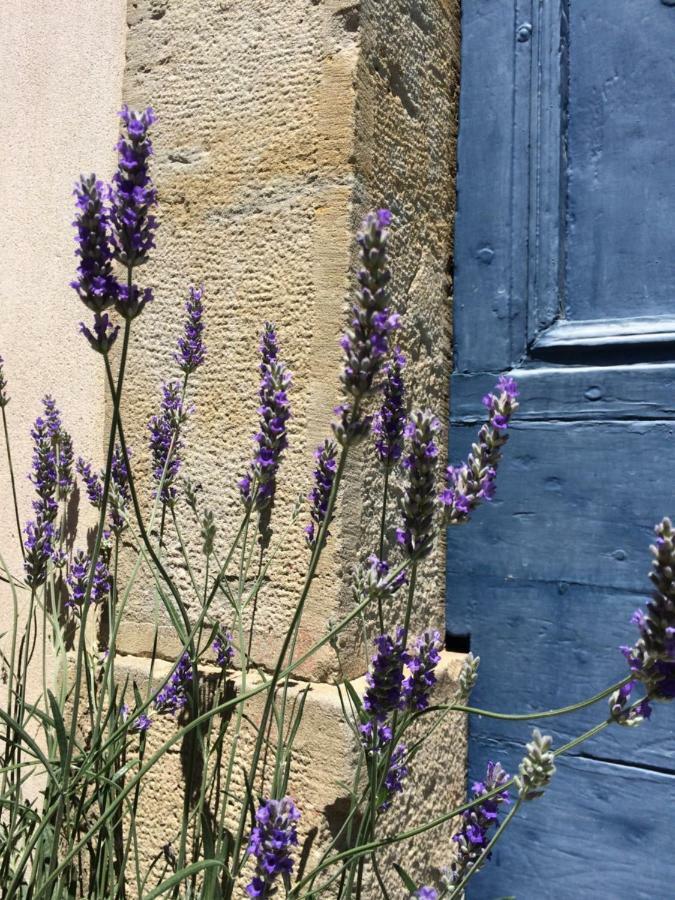 Ferienwohnung Domaine De La Forcate Villesiscle Exterior foto